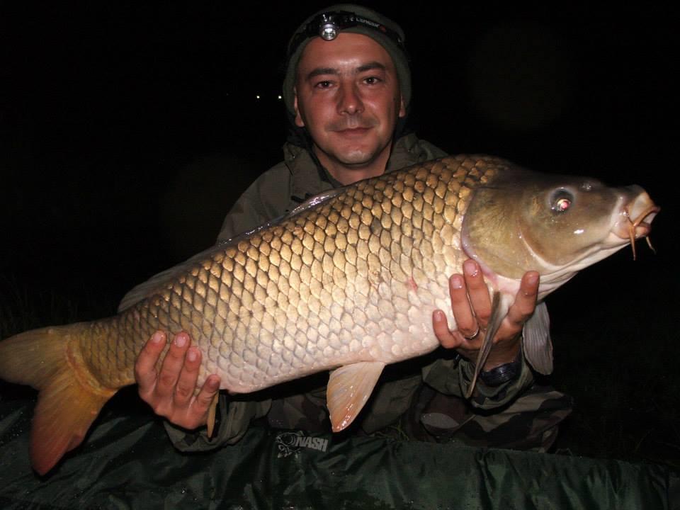 Lates iunie 2013 - 1045033593196674080871202579611n.jpg